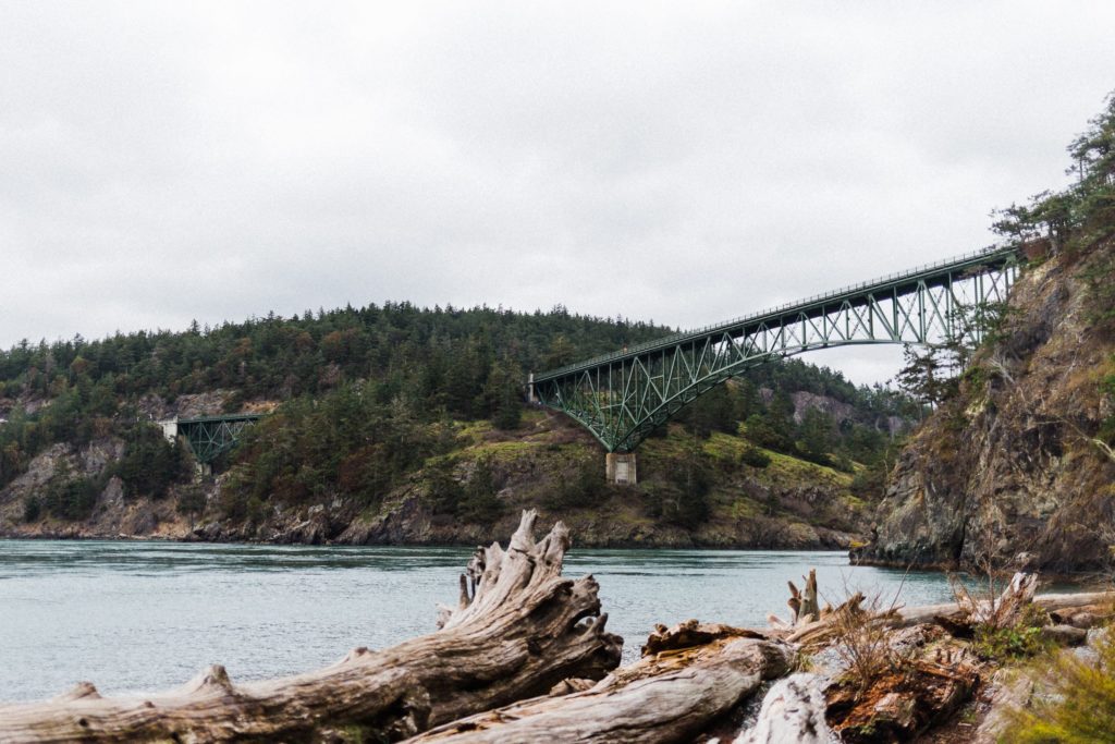 view of deception pass bridge from beach with logs