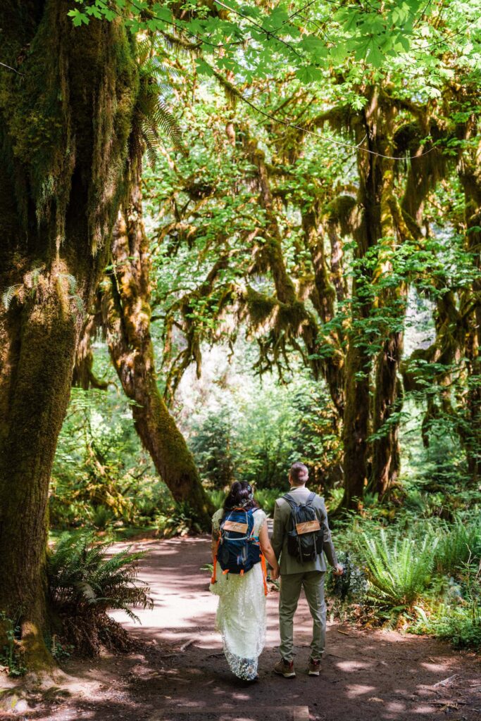 eloping couple with backpacks that say "just married" staring up at giant moss covered trees in Olympic National Park.