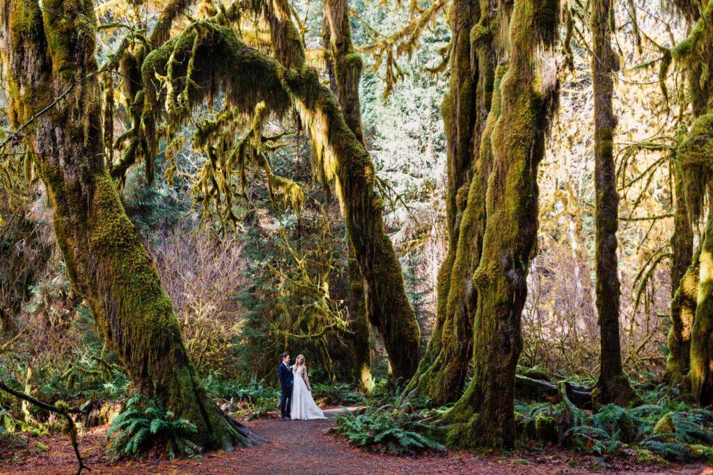 couple in wedding attire standing in the middle of the hoh rainforest