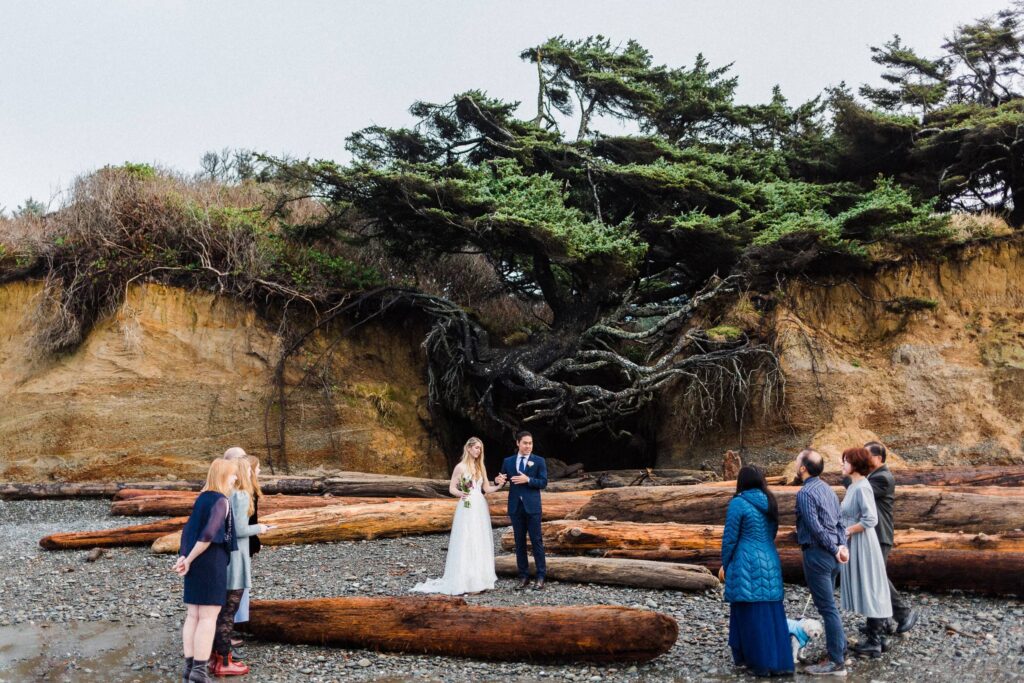 wedding ceremony with guests in front of the Tree of Life near Kalaloch Beach in Washington