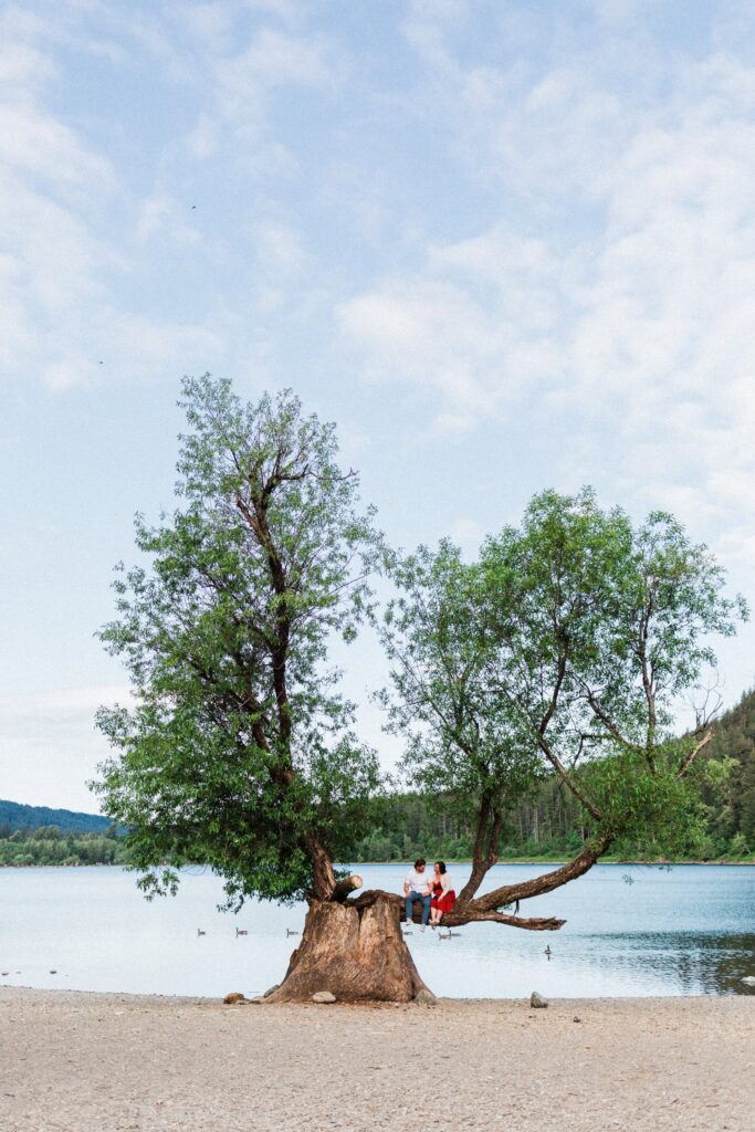 a couple sitting in a tree with a lake behind them during their Rattlesnake Lake Engagement Session.